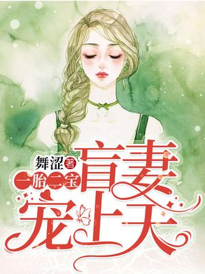 一胎二宝:盲妻宠上天