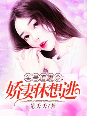 头号追妻令:娇妻,休想逃