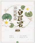 弄死那朵白莲花