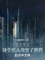 科技崛起:辣个男人改变了世界