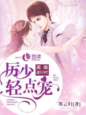 离婚进行时:厉少,轻点宠
