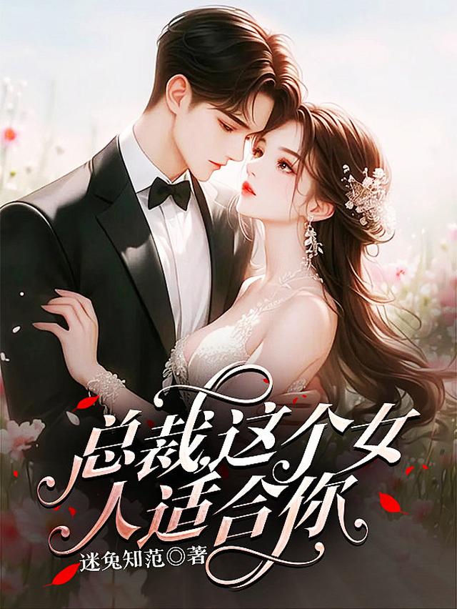 总裁,这个女人适合你